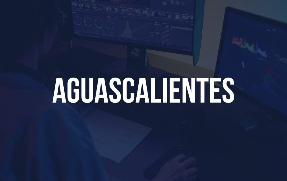 Perito en Sistemas Informáticos en Aguascalientes