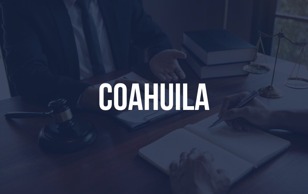 Perito en Sistemas Informáticos en Coahuila