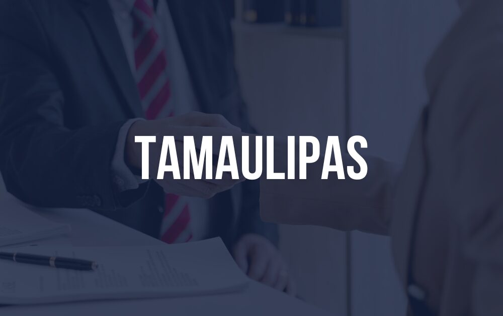 Perito informático Tamaulipas