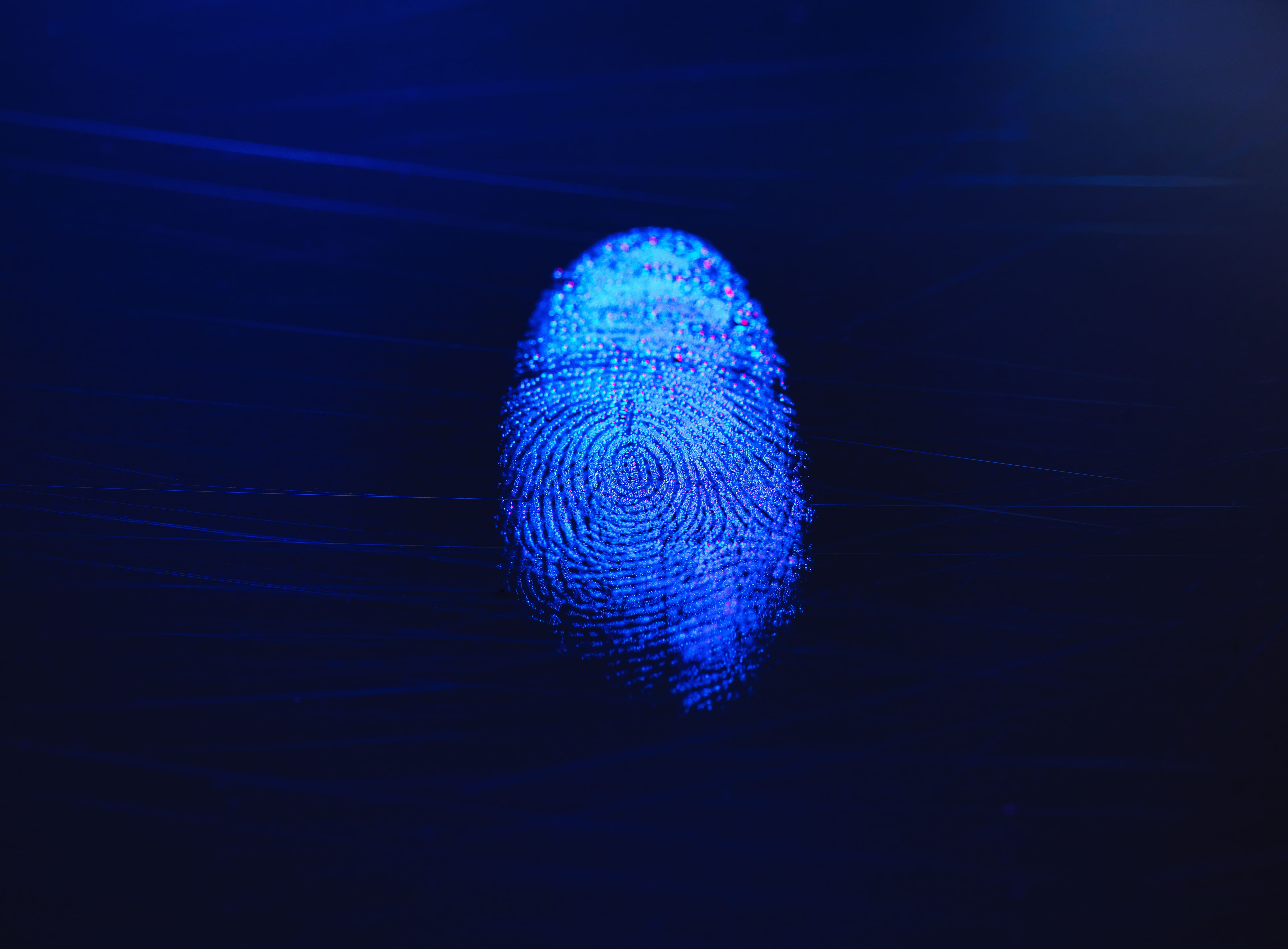 54 negarse biometricos curp 3