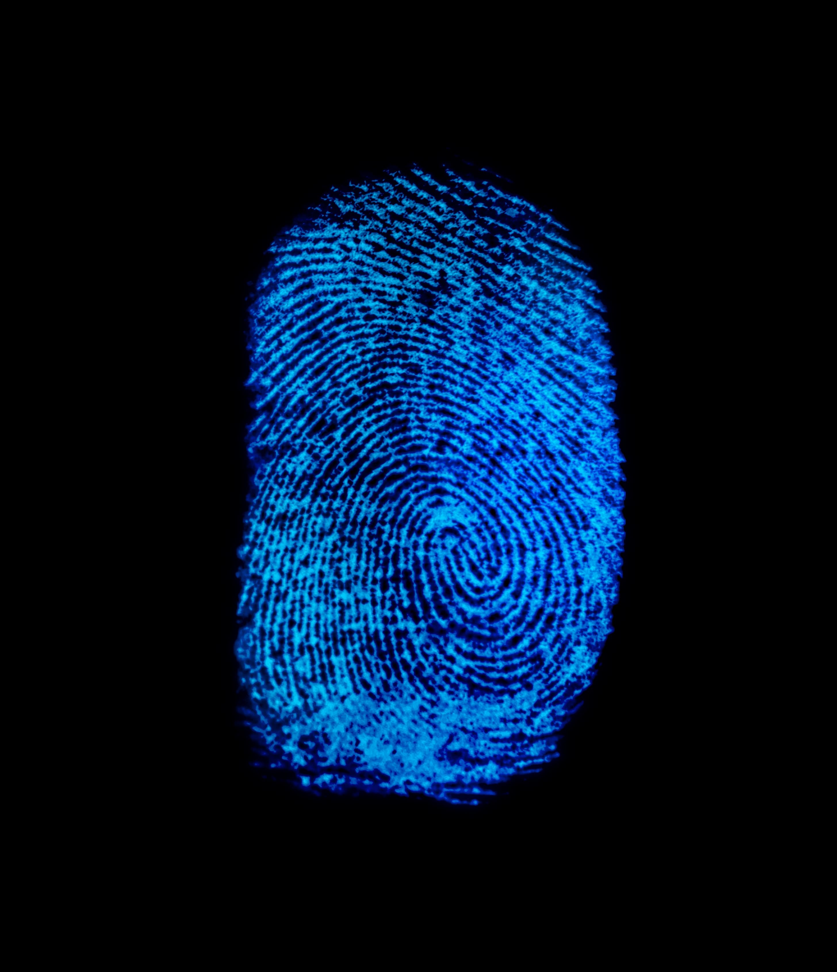 54 negarse biometricos curp 4