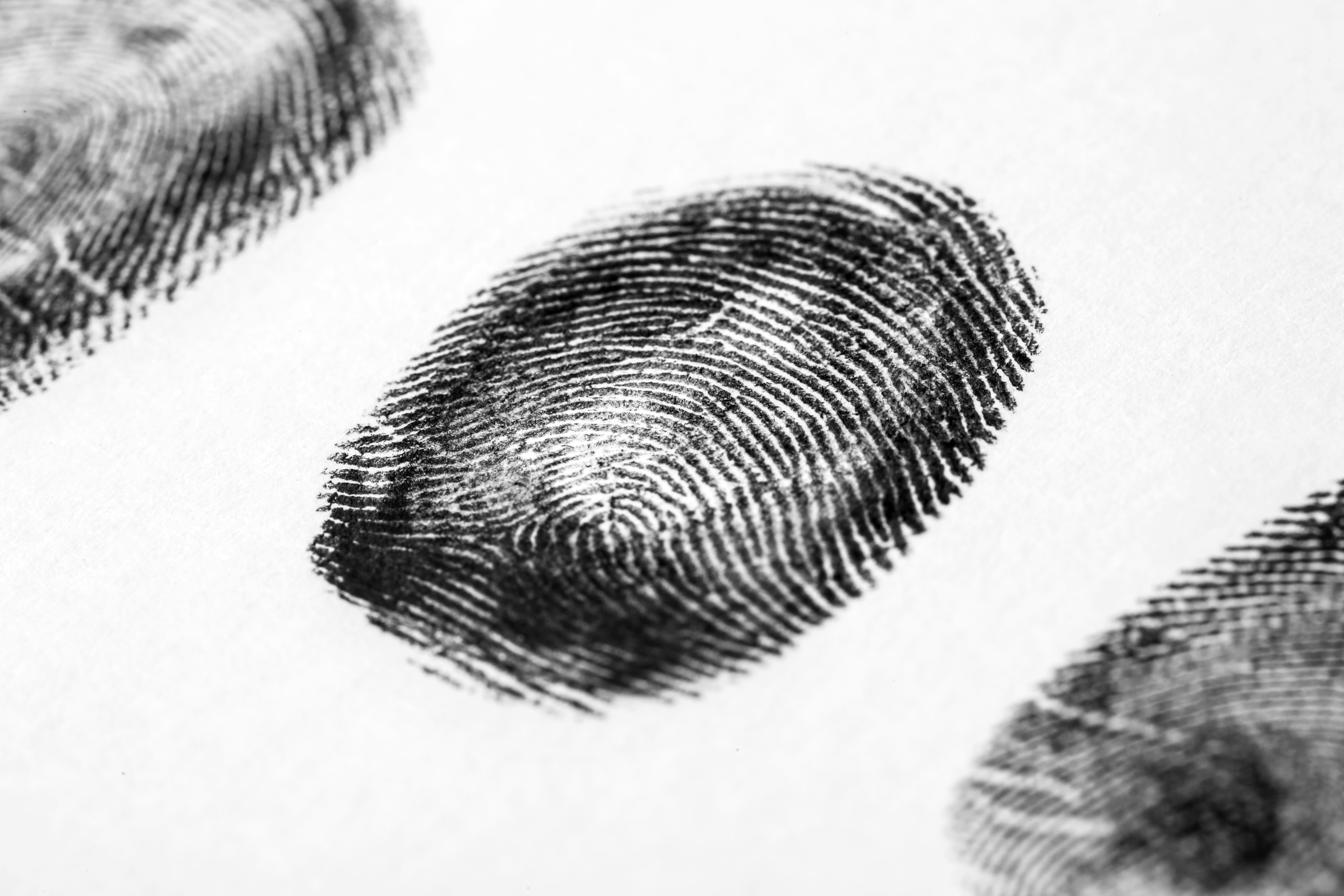 54 negarse biometricos curp 5